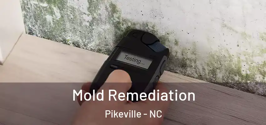 Mold Remediation Pikeville - NC