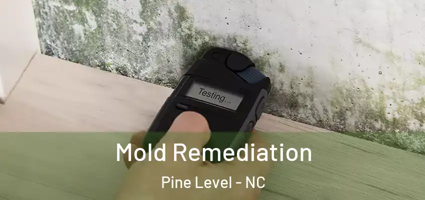  Mold Remediation Pine Level - NC
