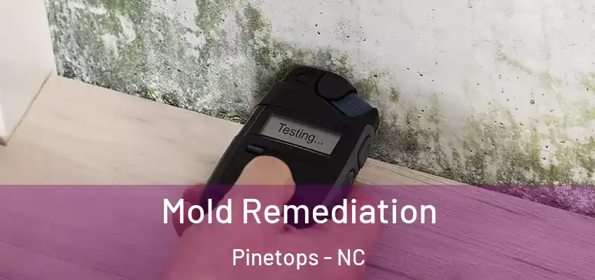  Mold Remediation Pinetops - NC