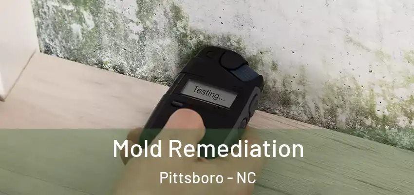  Mold Remediation Pittsboro - NC