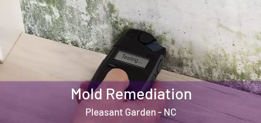 Mold Remediation Pleasant Garden - NC
