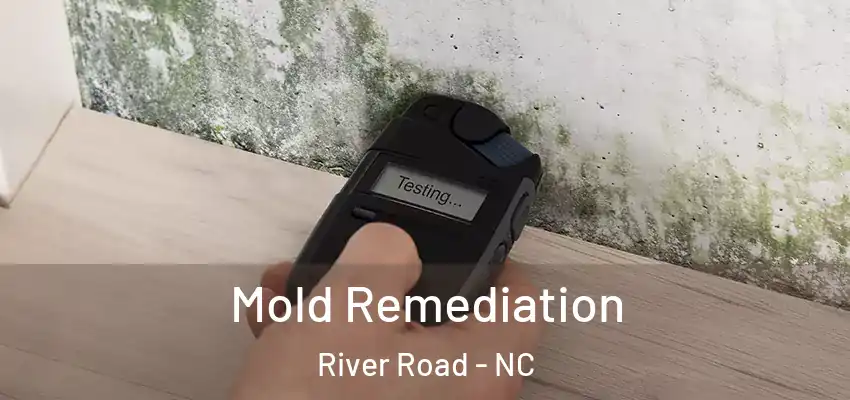 Mold Remediation River Road - NC