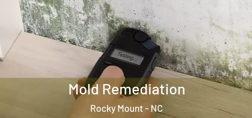 Mold Remediation Rocky Mount - NC