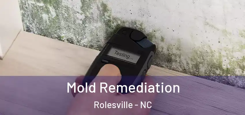  Mold Remediation Rolesville - NC