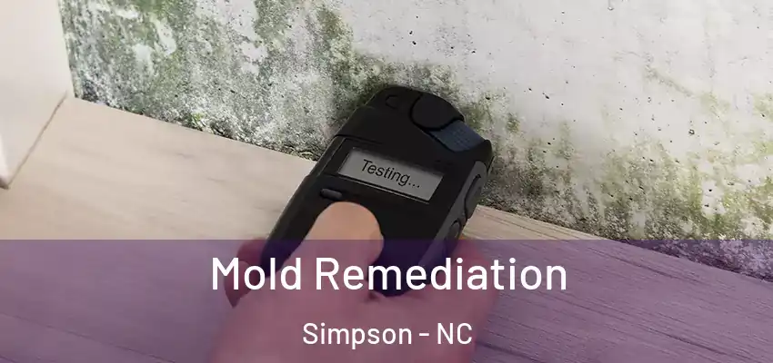 Mold Remediation Simpson - NC