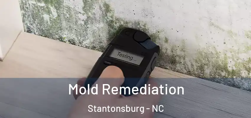 Mold Remediation Stantonsburg - NC