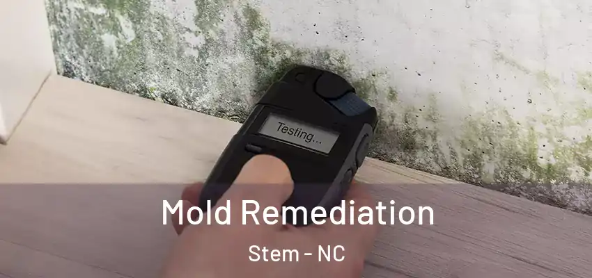  Mold Remediation Stem - NC
