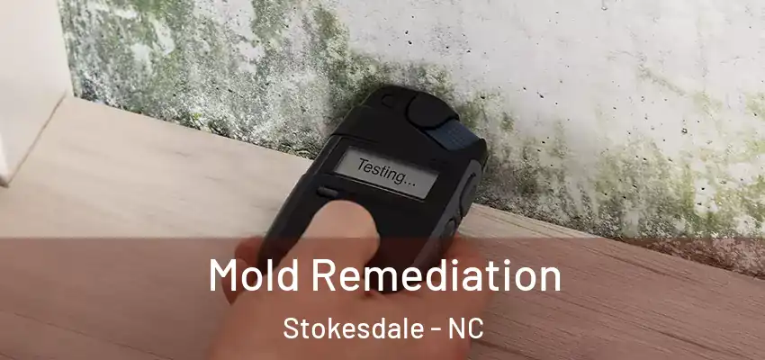  Mold Remediation Stokesdale - NC