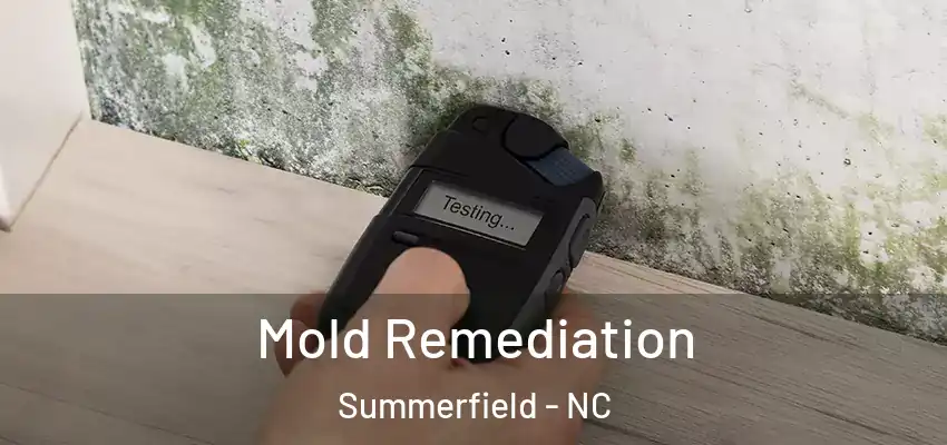 Mold Remediation Summerfield - NC