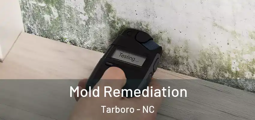Mold Remediation Tarboro - NC