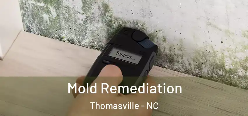 Mold Remediation Thomasville - NC