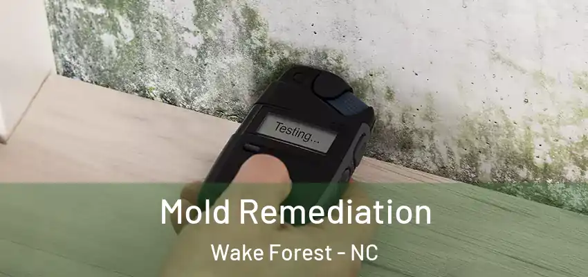 Mold Remediation Wake Forest - NC