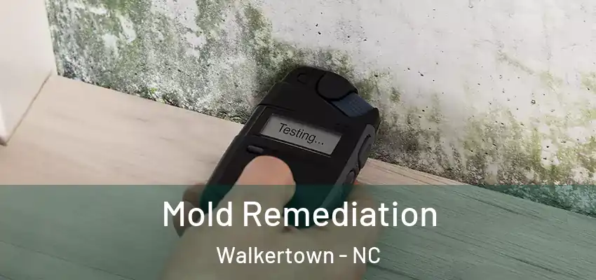  Mold Remediation Walkertown - NC