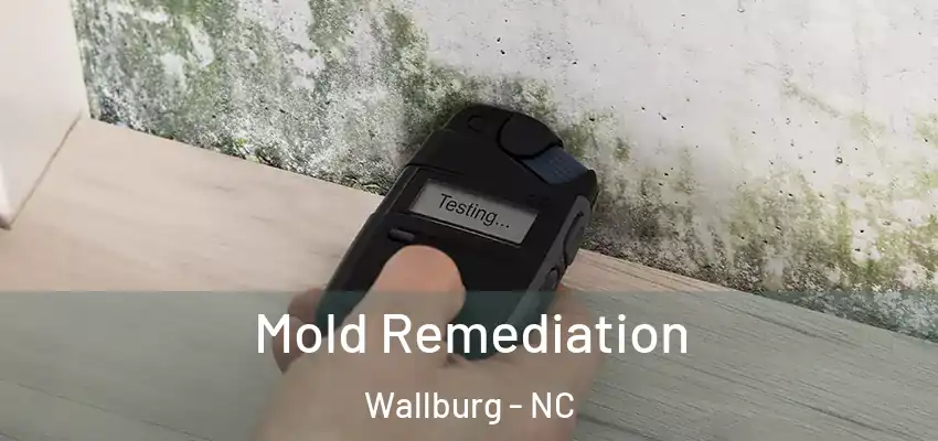  Mold Remediation Wallburg - NC