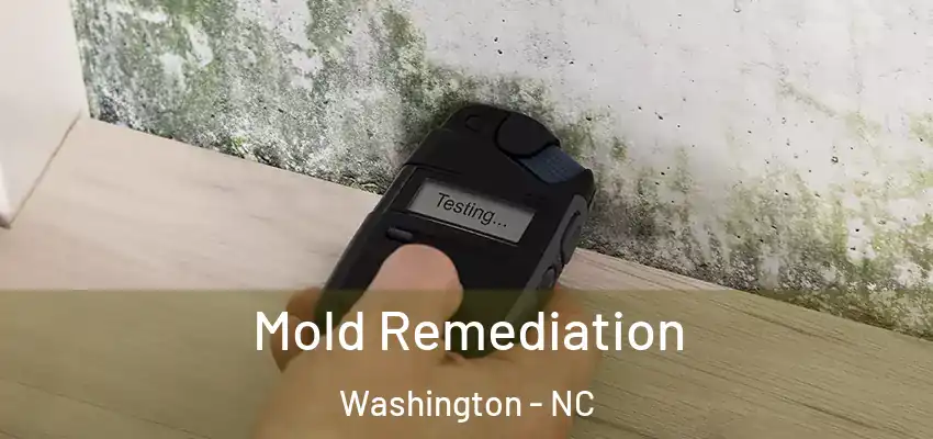 Mold Remediation Washington - NC