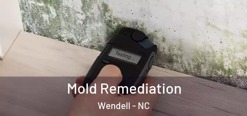 Mold Remediation Wendell - NC