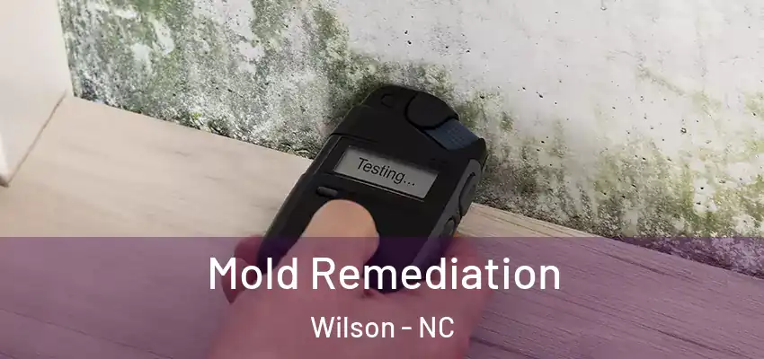 Mold Remediation Wilson - NC