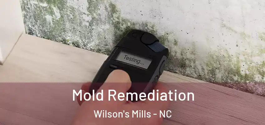 Mold Remediation Wilson's Mills - NC