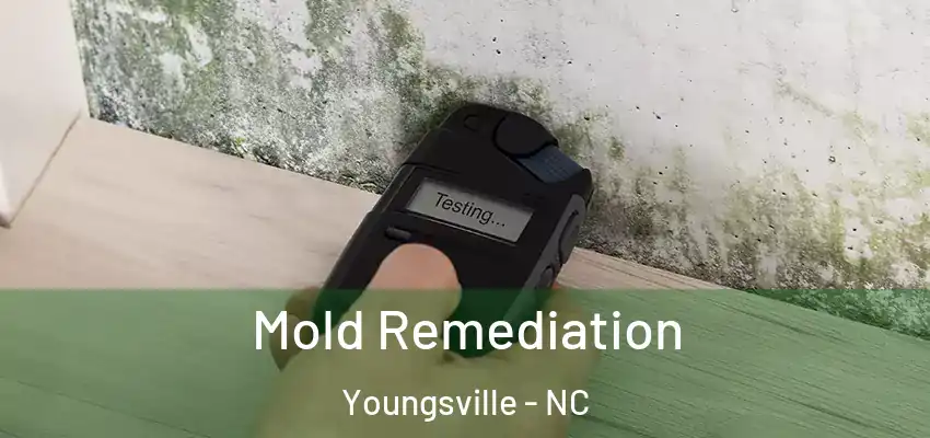  Mold Remediation Youngsville - NC