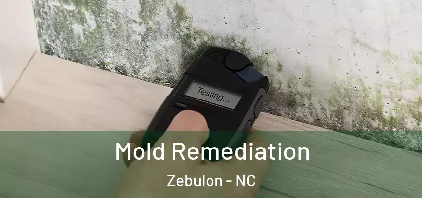  Mold Remediation Zebulon - NC