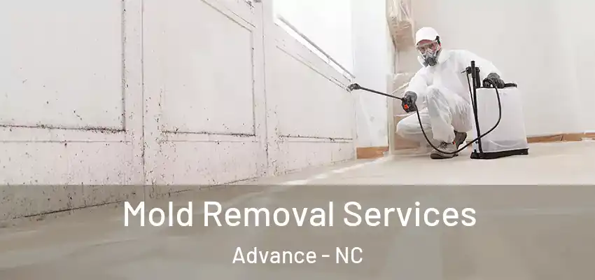  Mold Removal Services Advance - NC