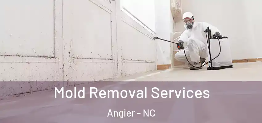  Mold Removal Services Angier - NC