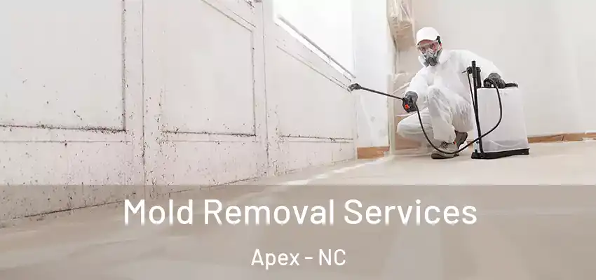  Mold Removal Services Apex - NC