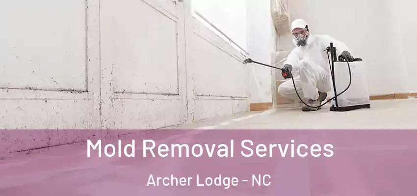  Mold Removal Services Archer Lodge - NC