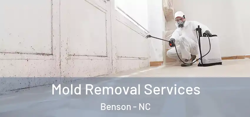 Mold Removal Services Benson - NC