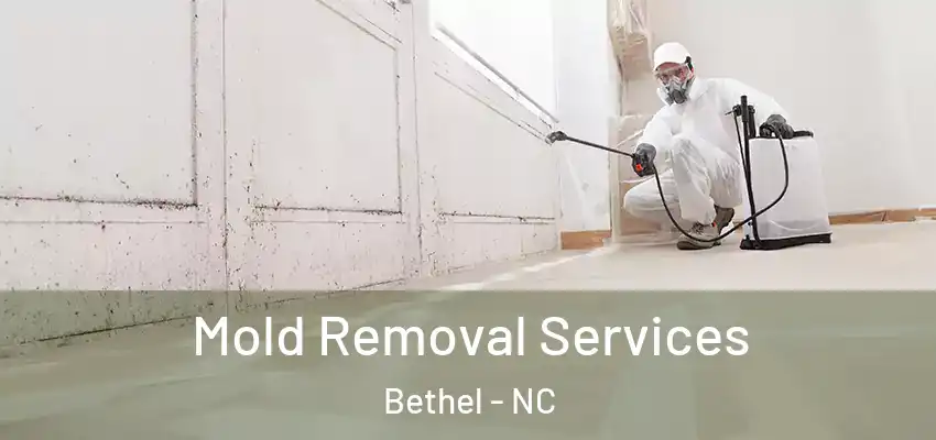 Mold Removal Services Bethel - NC