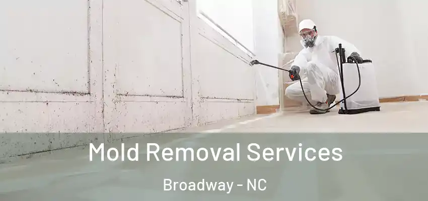 Mold Removal Services Broadway - NC