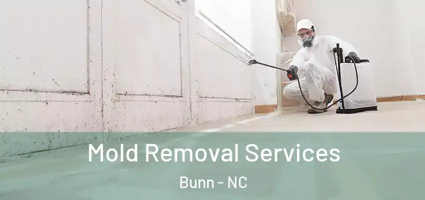 Mold Removal Services Bunn - NC