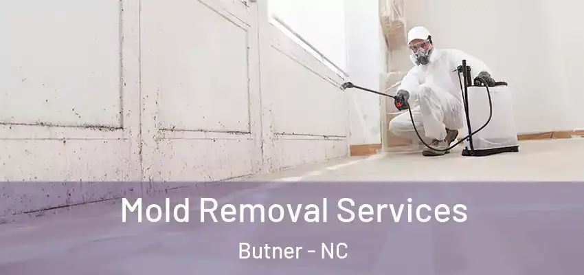  Mold Removal Services Butner - NC
