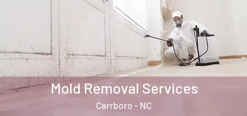  Mold Removal Services Carrboro - NC