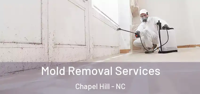  Mold Removal Services Chapel Hill - NC