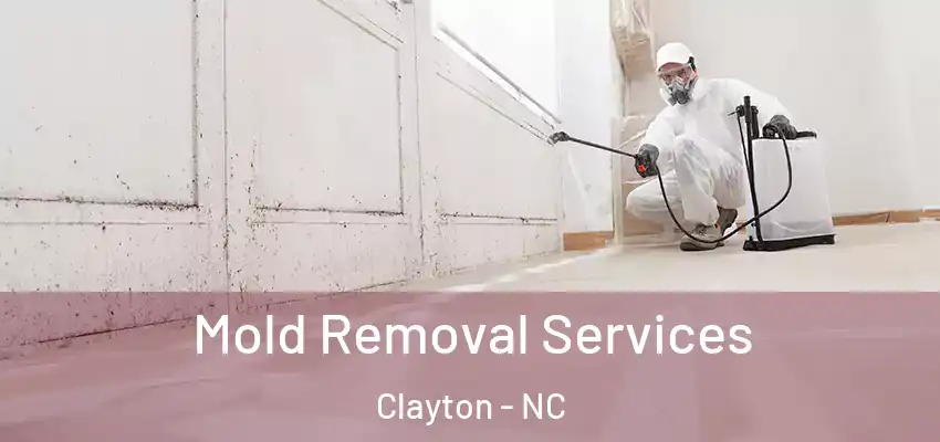  Mold Removal Services Clayton - NC