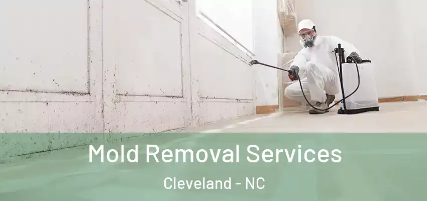  Mold Removal Services Cleveland - NC