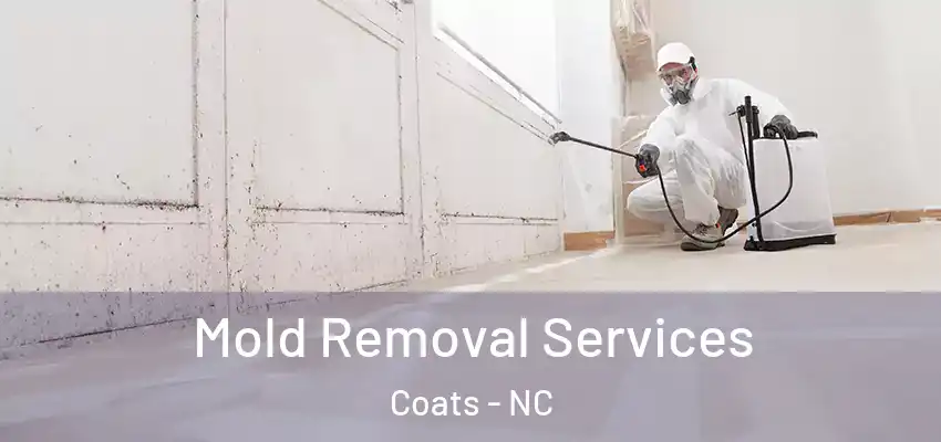  Mold Removal Services Coats - NC