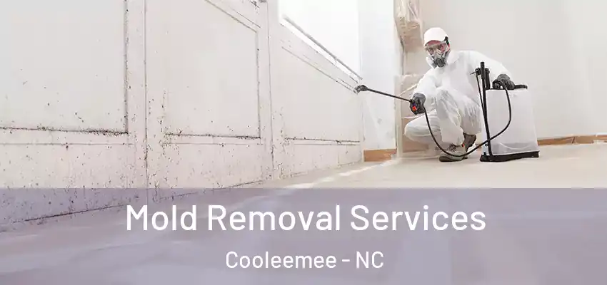  Mold Removal Services Cooleemee - NC