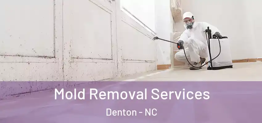 Mold Removal Services Denton - NC