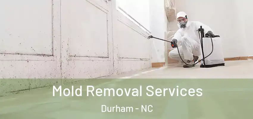 Mold Removal Services Durham - NC