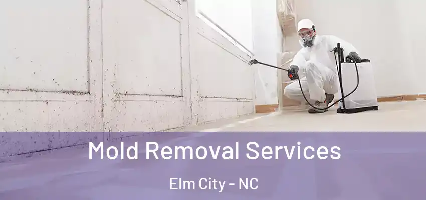  Mold Removal Services Elm City - NC
