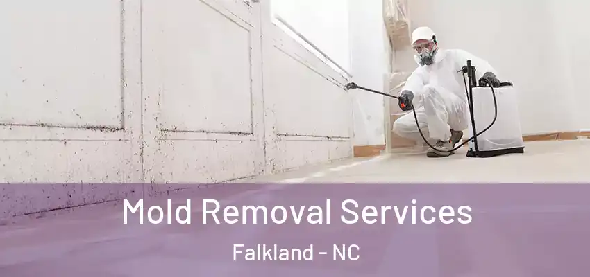 Mold Removal Services Falkland - NC