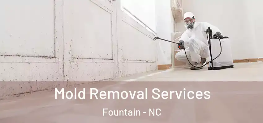  Mold Removal Services Fountain - NC