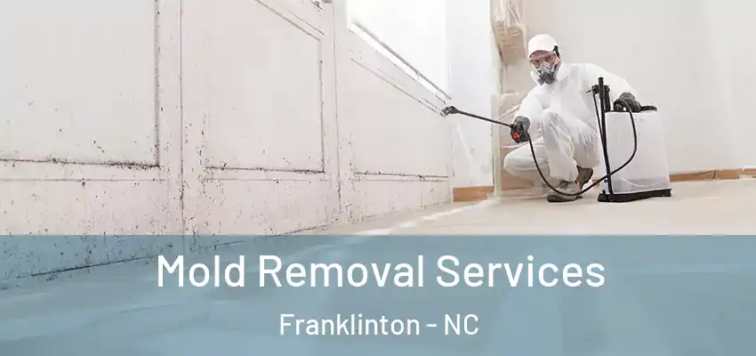  Mold Removal Services Franklinton - NC