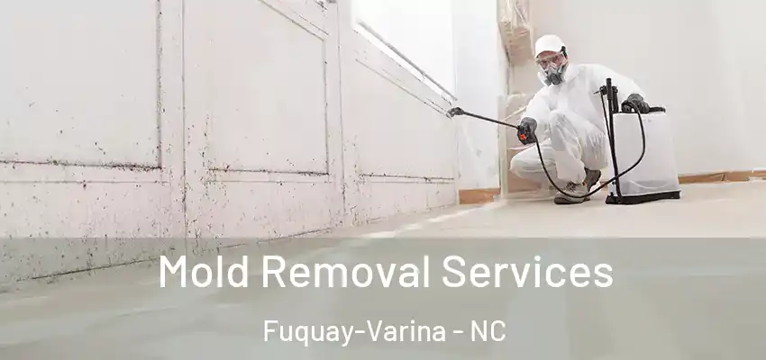  Mold Removal Services Fuquay-Varina - NC
