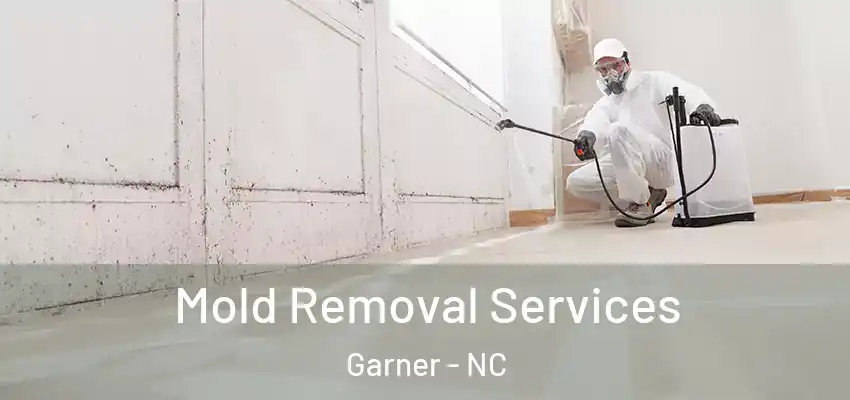 Mold Removal Services Garner - NC