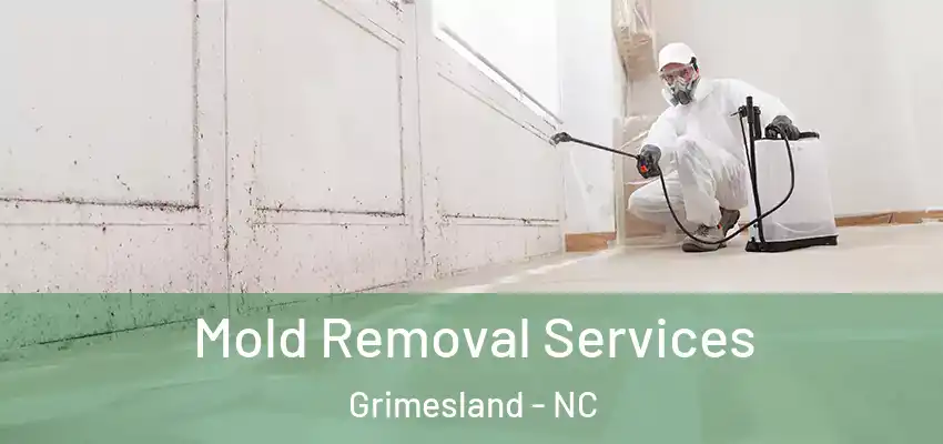  Mold Removal Services Grimesland - NC