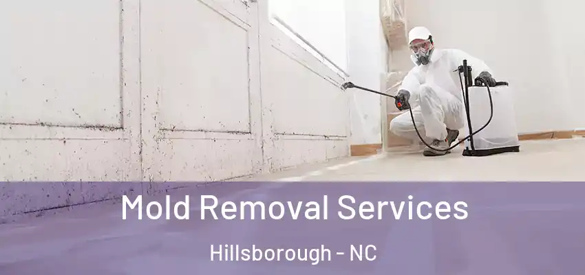  Mold Removal Services Hillsborough - NC