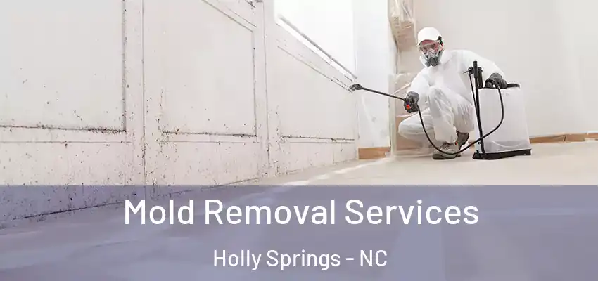  Mold Removal Services Holly Springs - NC